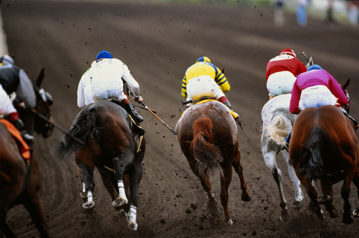 Horse Racing