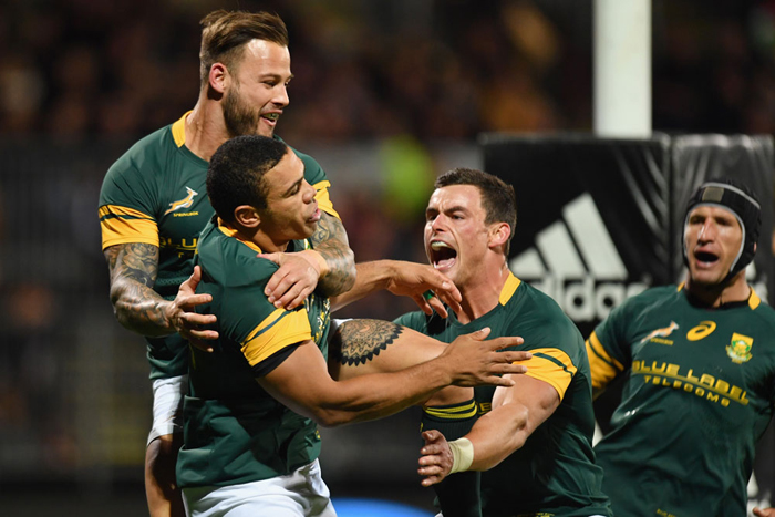 The Springboks